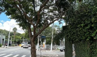 Imóvel 2666222 [''] - ['Avenida Brigadeiro Luís Antônio, 3874 - Jardim Paulista - São Paulo - SP'] ['Jardim Paulista'] - ['São Paulo']/['SP'] - 1