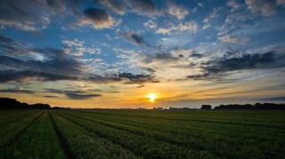 Imóvel 2522922 [''] - ['Rua Engenheiro Enaldo Cravo Peixoto, 345'] ['Tijuca'] - ['Rio De Janeiro']/['RJ'] - 1
