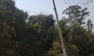 Imóvel 2060022 [''] - ['Gleba Estrada Ivoturucaia, Sítio São Joaquim, Fazenda Marajoara, Campo Limpo Paulista, SP'] [''] - ['Campo Limpo Paulista']/['SP'] - 1