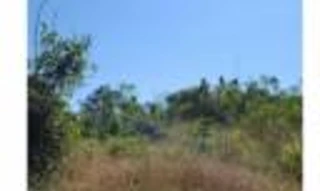 Imóvel 2718122 [''] - ['Fazenda c/ área 243,2576 hectares, lote rural nº 49, Setor Jaquirana/6, Gleba Jacundá do Projeto Fundiário Alto Madeira'] [''] - ['Candeias Do Jamari']/['RO'] - 1