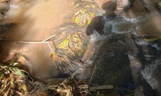 Imóvel 2717422 [''] - ['Esquina União'] [''] - ['Giruá']/['RS'] - 1