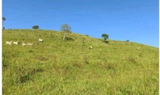 Imóvel 2974822 [''] - ['Linha São Cristóvão, S/N- Pesqueiro, Gleba IV, Fazenda Primavera'] [''] - ['Saltinho']/['SC'] - 1