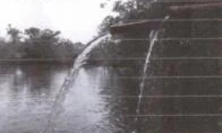 Imóvel 3017622 [''] - ['Fazenda dos Baús, lugar denominado Capim, à margem direita do Córrego do Capim'] [''] - ['Capinópolis']/['MG'] - 1