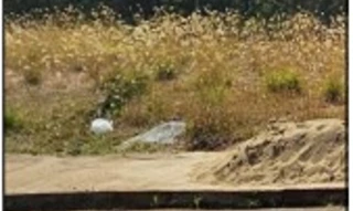 Imóvel 2593322 ['10258774'] - ['AVENIDA JOAQUIM PEDRO DE OLIVEIRA,N. SN LT 07, CENTRO - CEP: 17180-027, IACANGA - SAO PAULO'] [''] - ['Iacanga']/['SP'] - 1