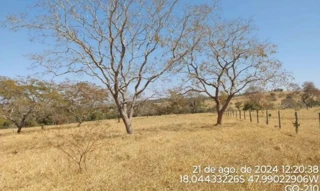 Imóvel 2606422 [''] - ['Fazenda Ribeirão, s/n - Zona Rural - Catalão / GO'] [''] - ['Catalão']/['GO'] - 1