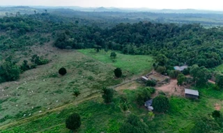 Imóvel 2920222 [''] - ['Sitio Boa Esperança, Lote 106-E'] [''] - ['Nova Bandeirantes']/['MT'] - 1