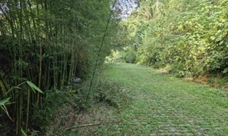 Imóvel 2615622 [''] - ['Área nº 01 do loteamento Quintas da Meia Laranja, Distrito de Caiçara'] [''] - ['Piraí']/['RJ'] - 1