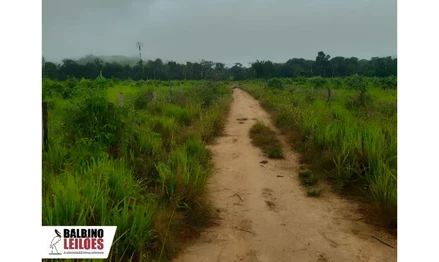 Imóvel rural em Nova Monte Verde, , São José do Apui, MT. Área: nullm2