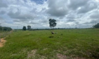 Imóvel 2948623 [''] - ['RODOVIA MT010, S/N, ZONA RURAL'] [''] - ['Alta Floresta']/['MT'] - 1
