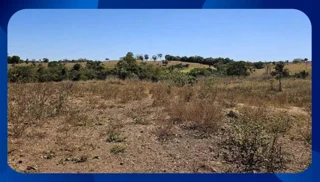 Imóvel 2588023 [''] - [', sn'] [''] - ['Palmares']/['PE'] - 1