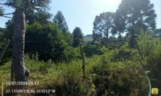 Imóvel 2720523 [''] - ['Estrada Geral, S/N, Bairro Zona rural'] [''] - ['Fraiburgo']/['SC'] - 1