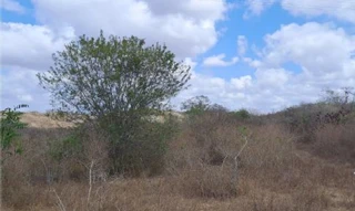 Imóvel 2973623 [''] - ['lado direito da BR230, sentido João Pessoa — Campina Grande, com entrada a cerca de 16 km de Campina Grande, seguindo por uma estrada de terra a partir da BR 230 por cerca de 1,7 km'] [''] - ['Campina Grande']/['PB'] - 1