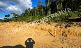 Imóvel 2984923 [''] - ['Residencial Resort das Cachoeiras, BR-174, Km 101, margem esquerda, Lote nº 270, Quadra H, 2ª Etapa'] [''] - ['Presidente Figueiredo']/['AM'] - 1