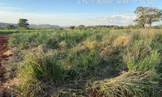 Imóvel 2931523 ['IDR187580'] - ['Rua Tigrina, 2, Lote 02, Quadra 01, Condomínio das Orquídeas, Petrolina de Goiás, GO, 74083-150'] [''] - ['Petrolina De Goiás']/['GO'] - 1
