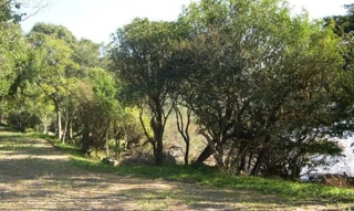 Imóvel 2668223 [''] - ['Estr. da Pedreira, 793'] ['Ponta Grossa'] - ['Porto Alegre']/['RS'] - 1