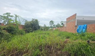 Imóvel 2435323 ['1444415711684'] - ['RODOVIA MANOEL URBANO (AM070),N. KM 11 LT 02 QD 39 GLEBA CACAU PIRERA, LOT RES TROPICAL - CEP: 69415-000, IRANDUBA - AMAZONAS'] [''] - ['Iranduba']/['AM'] - 1