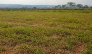 Imóvel 2690523 [''] - ['Rua 04, s/n - Lote 10, Quadra U - Jardim Botânico I - Marília / SP'] [''] - ['Marília']/['SP'] - 1