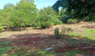 Imóvel 2655923 [''] - ['Loteamento Jardim Santa Luzia Iii, S/N, Paicandu Loteamento Jardim Santa Luzia Iii, Jardim Santa Luzia Iii, Paiçandu, PR, CEP: 87140000'] [''] - ['Paiçandu']/['PR'] - 1