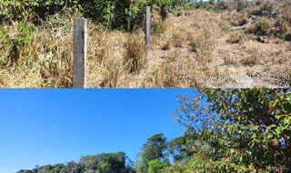 Imóvel 3013624 [''] - ['Fazenda Santo Antônio'] [''] - ['Juína']/['MT'] - 1