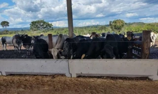 Imóvel 2717524 [''] - ['Linha 165, Lote Rural 53B-R-2, s/n - Gleba Guaporé - Setor Rio Vermelho - Zona Rural - Vilhena / RO'] [''] - ['Vilhena']/['RO'] - 1