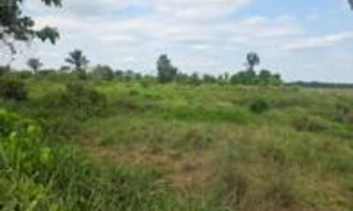 Imóvel 2832424 [''] - ['Fazenda c/ 115,8650 hectares, Lote nº 08, Gleba nº 07, Setor Conceição, Setor Cautarinho, denominado Sítio Nossa Senhora Aparecida'] [''] - ['Costa Marques']/['RO'] - 1