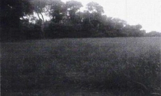 Imóvel 2504124 [''] - ['Fazenda Lages e Taquarí, Zona Rural, Bela Vista de Goiás'] [''] - ['Goiás']/['GO'] - 1