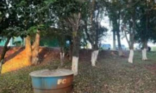 Imóvel 2886824 [''] - ['Linha Imigra, saída para Ab. Luz, São Domingos, ao longo Rua Coronel Passos Maia'] [''] - ['São Domingos']/['SC'] - 1