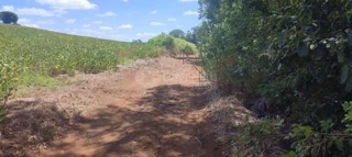 Imóvel 2717424 [''] - ['Colônia Municipal Pinheiro Machado'] [''] - ['São Paulo Das Missões']/['RS'] - 1