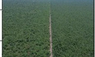 Imóvel 2961624 ['10309350'] - ['FAZENDA CAMPO BELO DO BURITI I,N. 00, ZONA RURAL - CEP: 64895-000, BREJO DO PIAUI - PIAUI'] [''] - ['Brejo Do Piauí']/['PI'] - 1