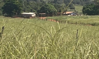 Imóvel 2995624 [''] - ['Imóvel rural situado no lugar denominado Pontal e Rocinha, região da antiga Fazenda Campo Alegre, em Ituiutaba/MG'] [''] - ['Ituiutaba']/['MG'] - 1