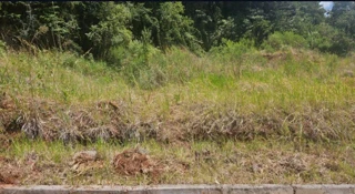 Imóvel 2913224 [''] - ['Lote urbano número 14, da quadra 07, do Loteamento Residencial Braun, na Rua \\E\\, nesta cidade de Erval Seco, Estado do Rio Grande do Sul'] [''] - ['Erval Seco']/['RS'] - 1