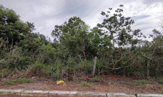 Imóvel 2282324 ['IDR184582'] - ['Rua Portugual, s/n, Quadra 07, Lote 03, Garden Ville, Caetanopolis, MG, 35770-000'] [''] - ['Caetanópolis']/['MG'] - 1