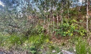 Imóvel 2664624 ['IDR186883'] - ['Abrão Bernardino Rocha, S/N, Lote N°02 Condomínio Horizontal Familia Scaburri - Fazenda - Itajaí, Fazenda, Itajaí, SC, 88302-580'] ['Fazenda'] - ['Itajaí']/['SC'] - 1