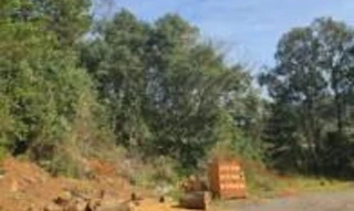 Imóvel 3037324 [''] - ['Rua Projetada, Bituruna'] [''] - ['Bituruna']/['PR'] - 1