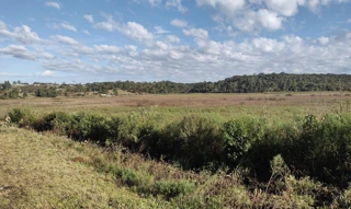 Imóvel 2646724 [''] - ['lugar denominado rio pequeno, imóvel Boa vista'] [''] - ['Irati']/['PR'] - 1