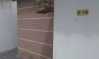 Imóvel 2597125 [''] - ['Conjunto F, Boa Hora, São Gonçalo dos Campos/BA'] [''] - ['São Gonçalo Dos Campos']/['BA'] - 1