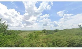 Imóvel 2851825 [''] - ['Fazenda Baraúna - Cachoeirinha, próximo a Queimadas'] [''] - ['Barra']/['BA'] - 1