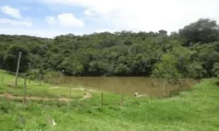 Imóvel 3042825 [''] - ['Sítio da Vovó Ana, localizado na Fazenda Buriti'] [''] - ['Bonfinópolis']/['GO'] - 1
