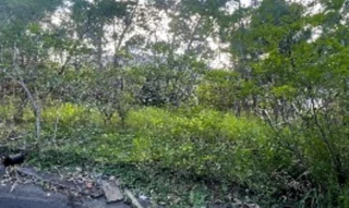 Imóvel 2664625 ['IDR186885'] - ['Rua do Grau, S/N, Lote n° 14, Condomínio Horizontal Familia Scaburri, Fazenda, Itajaí, SC, 88302-900'] ['Fazenda'] - ['Itajaí']/['SC'] - 1