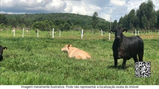 Imóvel 2359625 [''] - ['Área Rural de Poços de Caldas'] [''] - ['Contagem']/['MG'] - 1