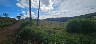 Imóvel 2589925 [''] - ['Rua José Crispim Santin, n. 79, Bairro Três Pontes'] [''] - ['Xanxerê']/['SC'] - 1