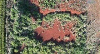 Imóvel 2601025 [''] - ['Rua Alemanha,'] [''] - ['Espigão Alto Do Iguaçu']/['PR'] - 1