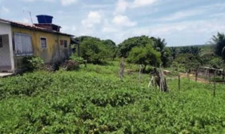 Imóvel 2390325 [''] - ['LOTE DE TERRENO PROPRIO N° 151, DA QUADRA 123, NO LUGAR MONSENHOR MAGNO'] ['Muçumagro'] - ['João Pessoa']/['PB'] - 1