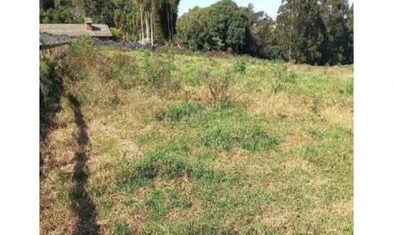 Terreno em Carambeí, , Estrada Vicinal a 65,03 metros da Av. dos Pioneiros, na altura do no 5879, PR. Área: 61257m2
