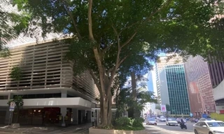 Imóvel 2948425 [''] - ['Avenida Paulista, 2073, Bela Vista, São Paulo, SP'] ['Bela Vista'] - ['São Paulo']/['SP'] - 1