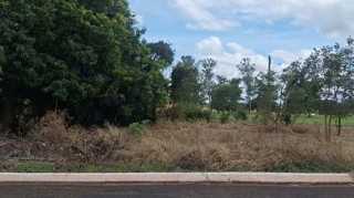 Imóvel 2870225 [''] - ['Av. Brasil, S/N, Quadra 06-ME, Lote 01, Vila Residencial de Planura, Planura/MG - 38220-000'] [''] - ['Planura']/['MG'] - 1