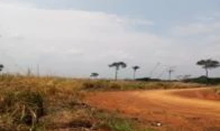 Imóvel 2654025 [''] - [''] [''] - ['Acrelândia']/['AC'] - 1