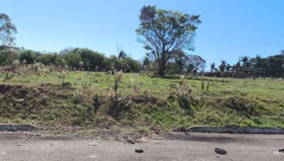 Imóvel 3029925 [''] - ['Rua Rio de Janeiro, 306, Parque Residencial Viva, Pérola, PR'] [''] - ['Pérola']/['PR'] - 1