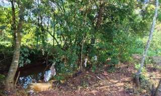 Imóvel 2672125 [''] - ['Rua Jacob Giacomini, S/N, Bairro Taquaruçú, Constantina/RS/'] [''] - ['Constantina']/['RS'] - 1