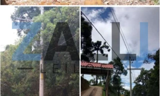 Imóvel 2260425 [''] - ['Rua Peroba, 0 - Jd. do Emperador Campos do Jordão - SP'] [''] - ['Campos Do Jordão']/['SP'] - 1